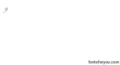 AlexandraZeferinoThree font – Fonts Number 9