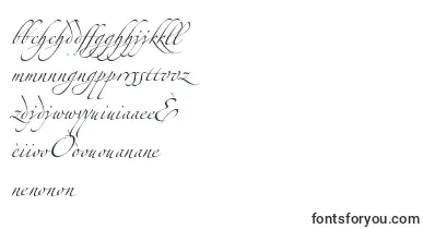 AlexandraZeferinoThree font – creole Fonts