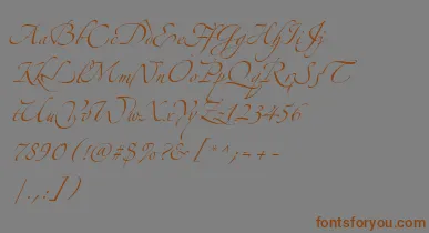 AlexandraZeferinoThree font – Brown Fonts On Gray Background
