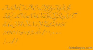 AlexandraZeferinoThree font – Gray Fonts On Orange Background