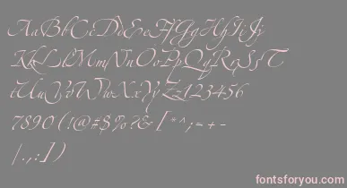 AlexandraZeferinoThree font – Pink Fonts On Gray Background