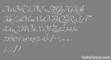 AlexandraZeferinoThree font – White Fonts On Gray Background