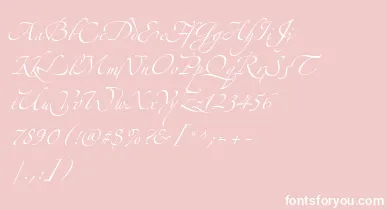 AlexandraZeferinoThree font – White Fonts On Pink Background