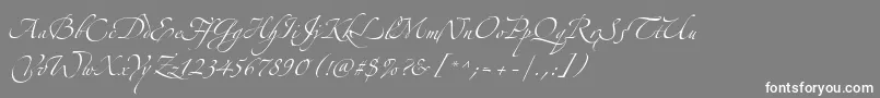 フォントAlexandraZeferinoThree – 灰色の背景に白い文字