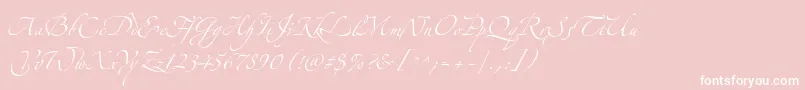 AlexandraZeferinoThree-Schriftart – Weiße Schriften auf rosa Hintergrund