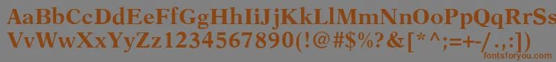 AustinBold Font – Brown Fonts on Gray Background