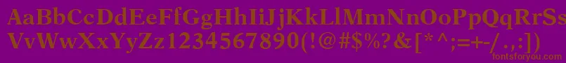 AustinBold Font – Brown Fonts on Purple Background