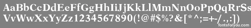 AustinBold Font – White Fonts on Gray Background