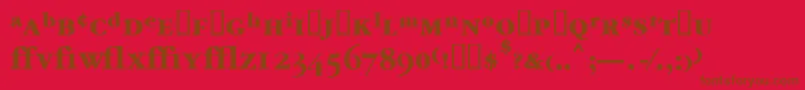 Garrymondrianexpt6Boldsh Font – Brown Fonts on Red Background