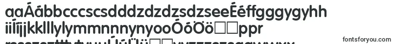 VolkswagenDemibold-Schriftart – ungarische Schriften