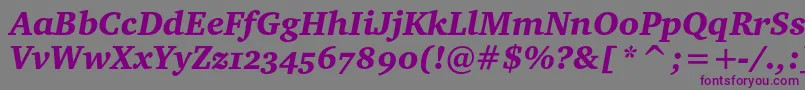 フォントCharterblackoscItalic – 紫色のフォント、灰色の背景