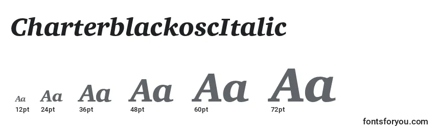 Размеры шрифта CharterblackoscItalic