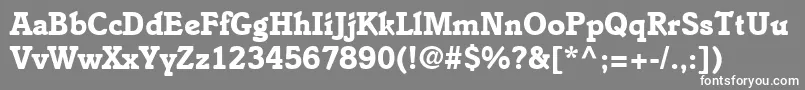 フォントEnsembleSsiBold – 灰色の背景に白い文字