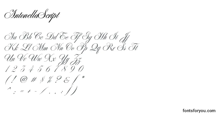 Schriftart AntonellaScript – Alphabet, Zahlen, spezielle Symbole