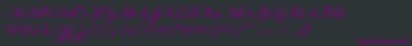 AntonellaScript Font – Purple Fonts on Black Background
