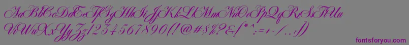 AntonellaScript Font – Purple Fonts on Gray Background