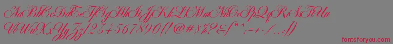 AntonellaScript Font – Red Fonts on Gray Background