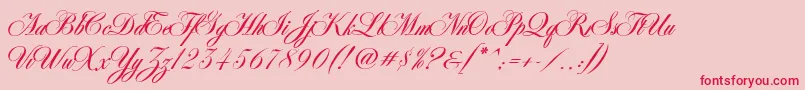 フォントAntonellaScript – ピンクの背景に赤い文字