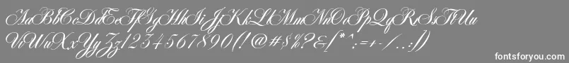 Police AntonellaScript – polices blanches sur fond gris