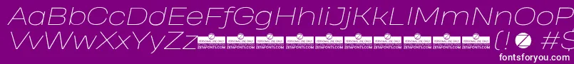 HeadingProWideThinItalicTrial Font – White Fonts on Purple Background