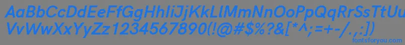 HkgroteskBoldlegacyitalic Font – Blue Fonts on Gray Background