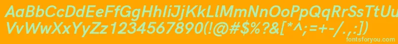 HkgroteskBoldlegacyitalic Font – Green Fonts on Orange Background