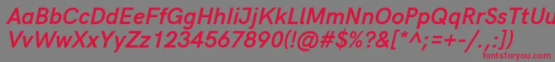 Police HkgroteskBoldlegacyitalic – polices rouges sur fond gris