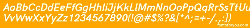 HkgroteskBoldlegacyitalic Font – White Fonts on Orange Background