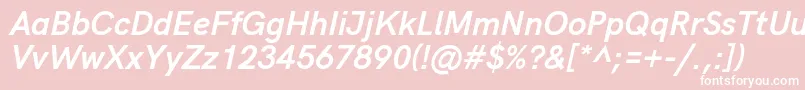 HkgroteskBoldlegacyitalic Font – White Fonts on Pink Background