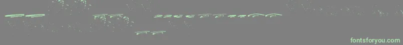 ItalianoSwashes-Schriftart – Grüne Schriften auf grauem Hintergrund