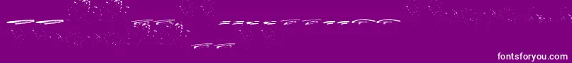 Fonte ItalianoSwashes – fontes brancas em um fundo violeta
