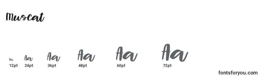 Muscat font sizes