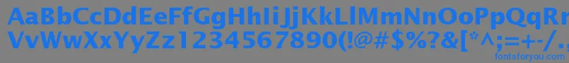 フォントLucidasansstdBold – 灰色の背景に青い文字