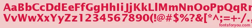 フォントLucidasansstdBold – ピンクの背景に赤い文字