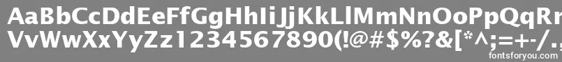 フォントLucidasansstdBold – 灰色の背景に白い文字