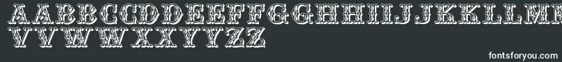Jfwinterfair-fontti – valkoiset fontit mustalla taustalla
