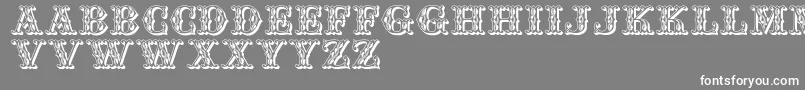 Jfwinterfair Font – White Fonts on Gray Background