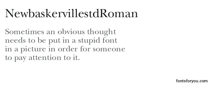 Review of the NewbaskervillestdRoman Font