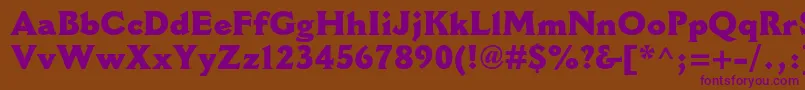 CantoriamtstdExtrabold Font – Purple Fonts on Brown Background