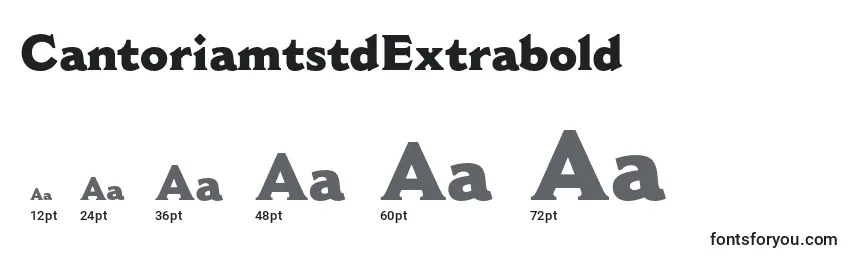 CantoriamtstdExtrabold Font Sizes