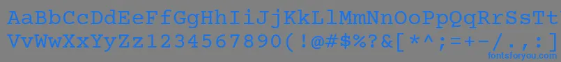Courier Prime Font – Blue Fonts on Gray Background
