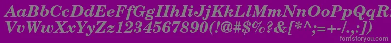 CenturySchoolbookRepriseSsiBoldItalic Font – Gray Fonts on Purple Background