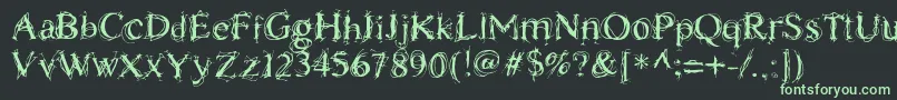 ChaostimesLig Font – Green Fonts on Black Background