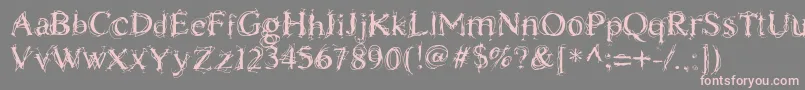 ChaostimesLig Font – Pink Fonts on Gray Background