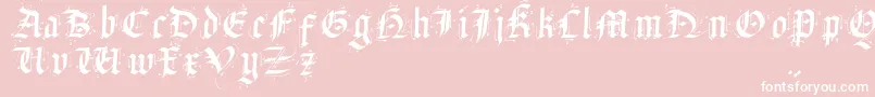 フォントSatanasHumanumSalvator – ピンクの背景に白い文字