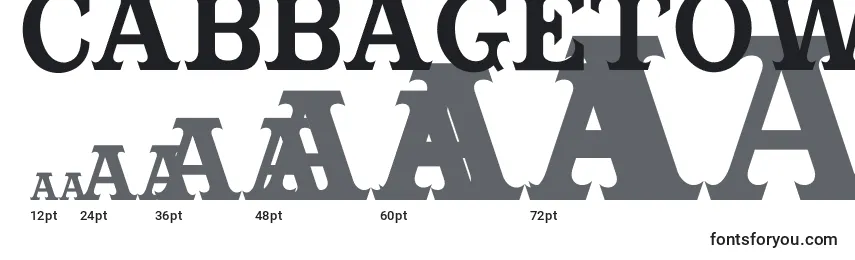 Cabbagetownbook Font Sizes