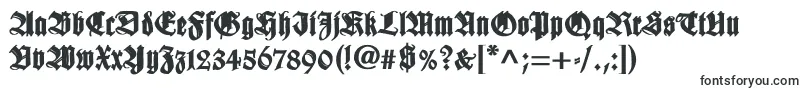 WilhelmklingsporgotischBold Font – Fonts for Adobe Muse