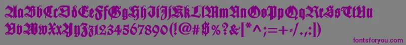 WilhelmklingsporgotischBold Font – Purple Fonts on Gray Background