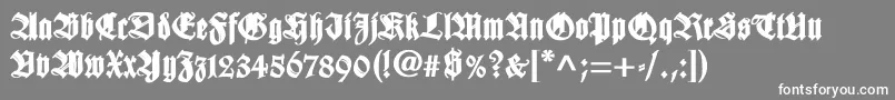 WilhelmklingsporgotischBold Font – White Fonts on Gray Background