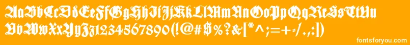 WilhelmklingsporgotischBold Font – White Fonts on Orange Background
